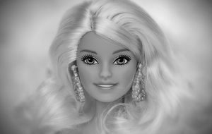 Beauty Barbie face
