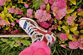 foot near blooming shrub