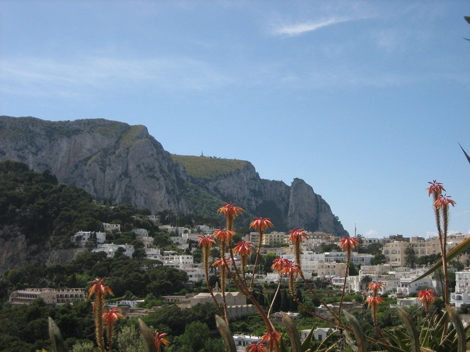 Landscape of beautiful Capri with colorful flowers and mountains in Italy