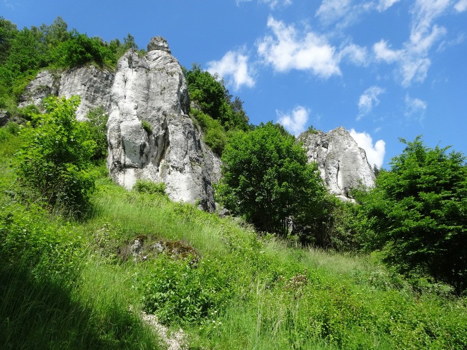 limestone rocks among green trees in poland