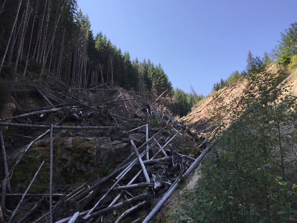 soil Erosion in Forest