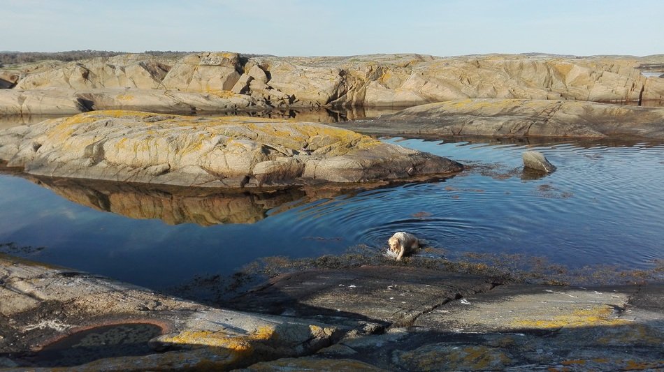 Archipelago Water Landscape