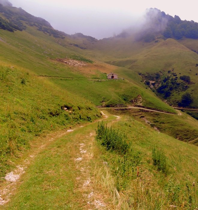 wide trail in the mountains of italy