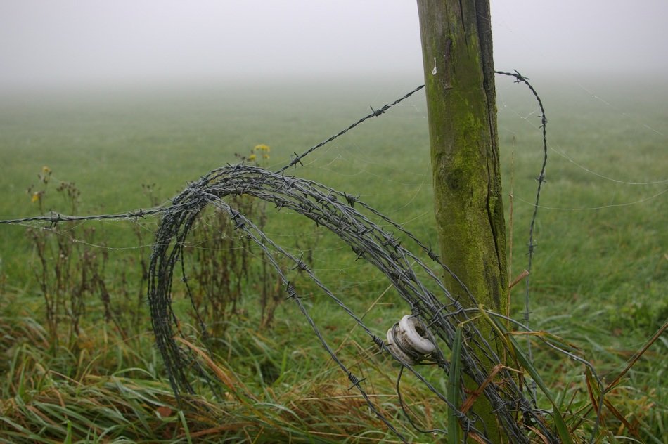Landscape with the barbed wire on the meadow