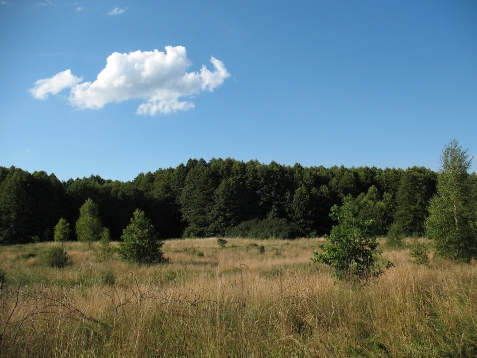 national park in kampinos