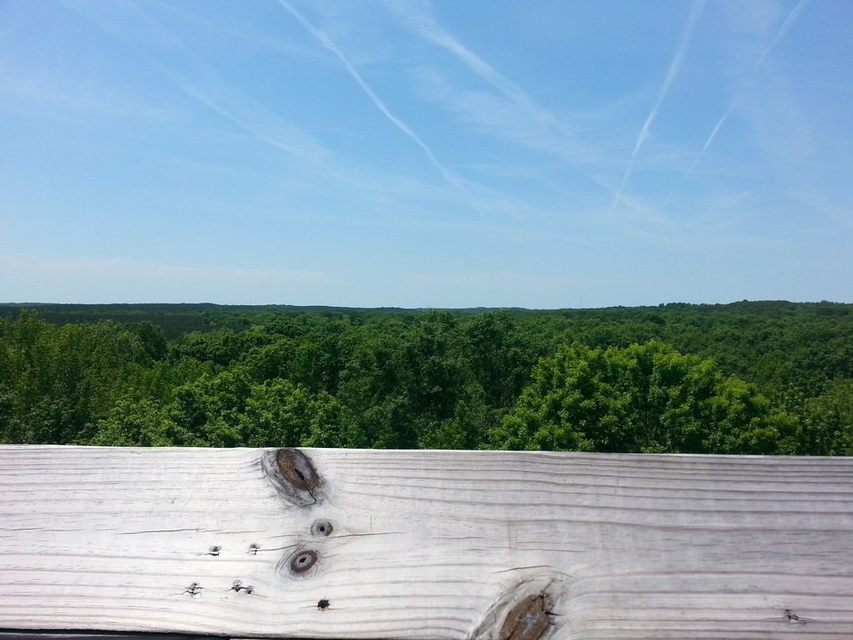 wooden board on a background of a greenery in usa, Virginia, farmville