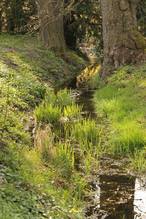 River The Brook