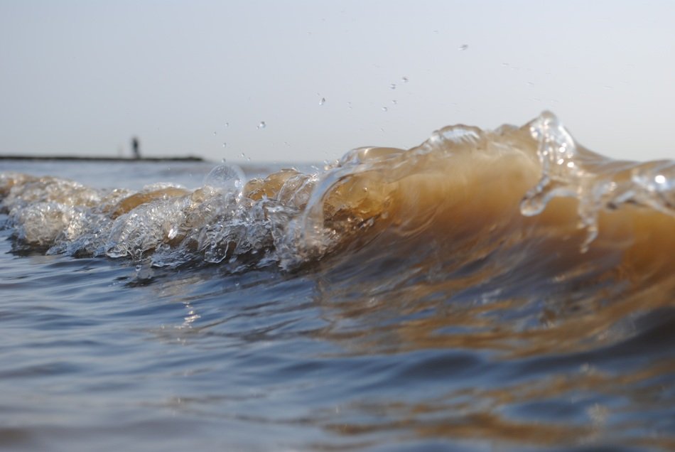 tiny Wave in North Sea macro