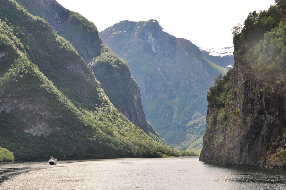 nature in the mountains of norway