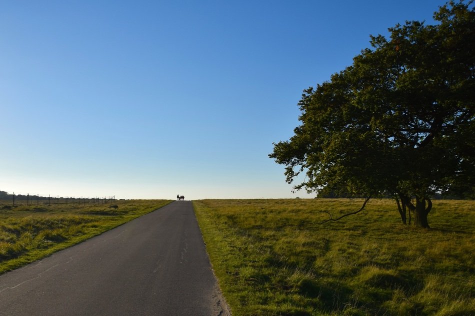 walk along the road in the open air