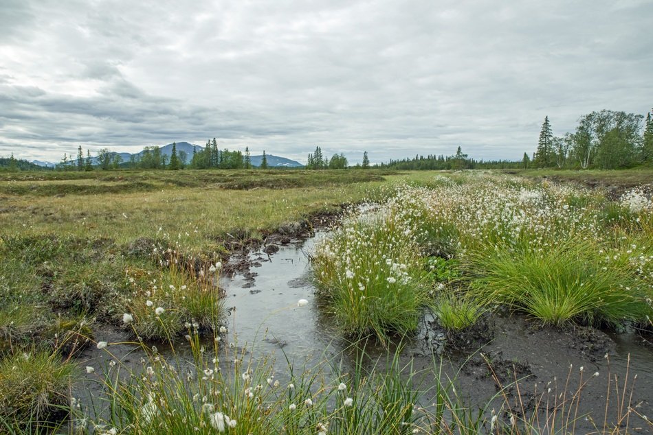 distant view of fjall in sweden