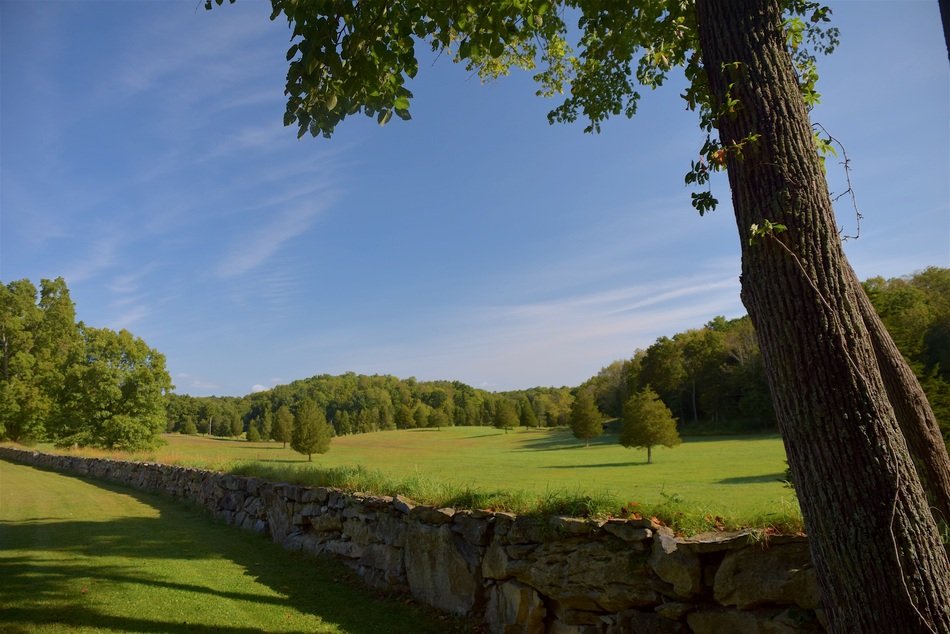 Stone fence at forest, Rural summer landscape