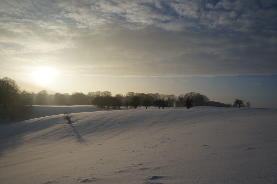 Winter Snow Cold Landscape