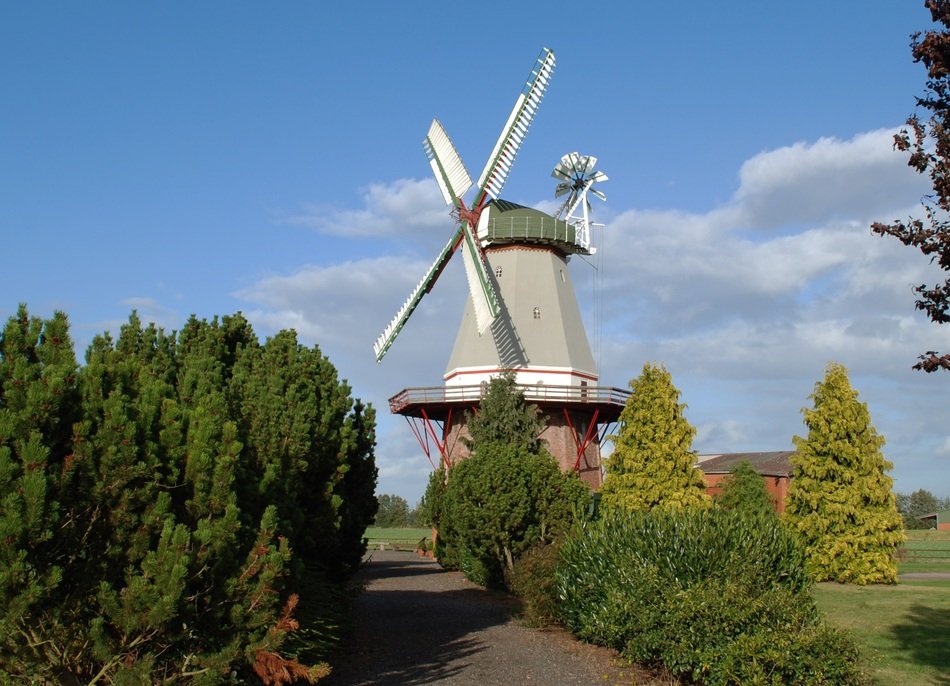 Green trees near the mill on a sunny day