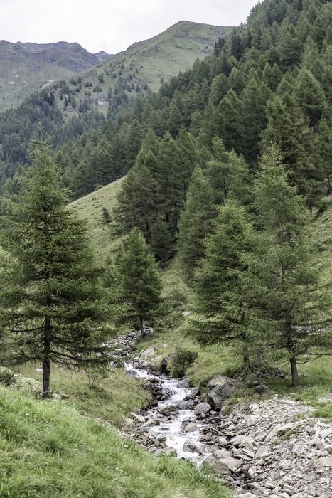 stream in the mountains of a nature park