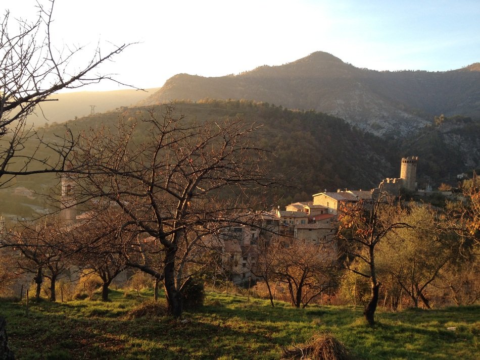 Landscape of the village in fall