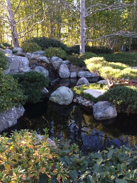 striking Japanese Garden