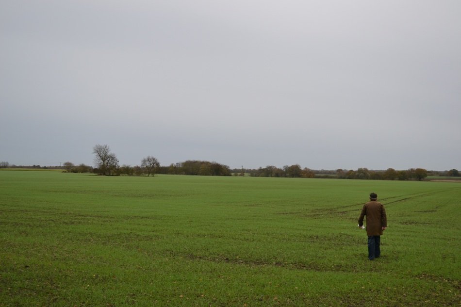 Field Landscape Rural Farm
