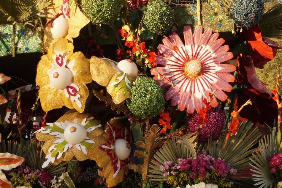 variety of unusual flowers in the garden close-up