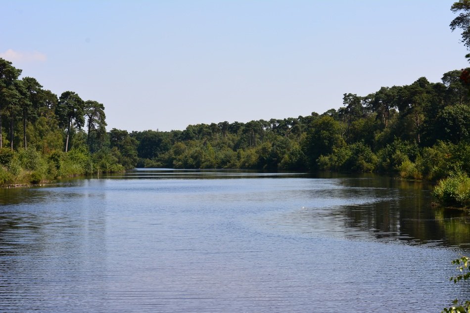 Landscape of Oisterwijk 14 Lakes Tour