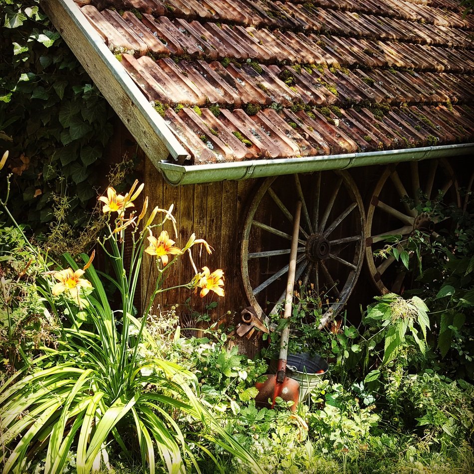 cart wheels on an old barn