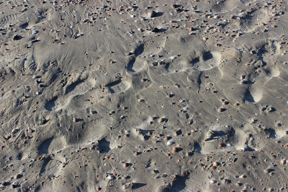 photo of footprints in the sand on the shores of the north sea