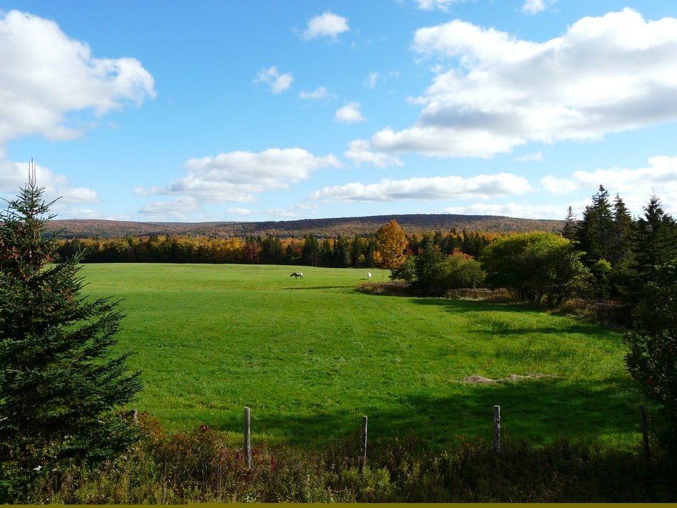 Landscape of green Canada