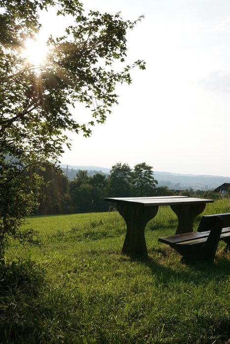 bench and table for outdoor recreation