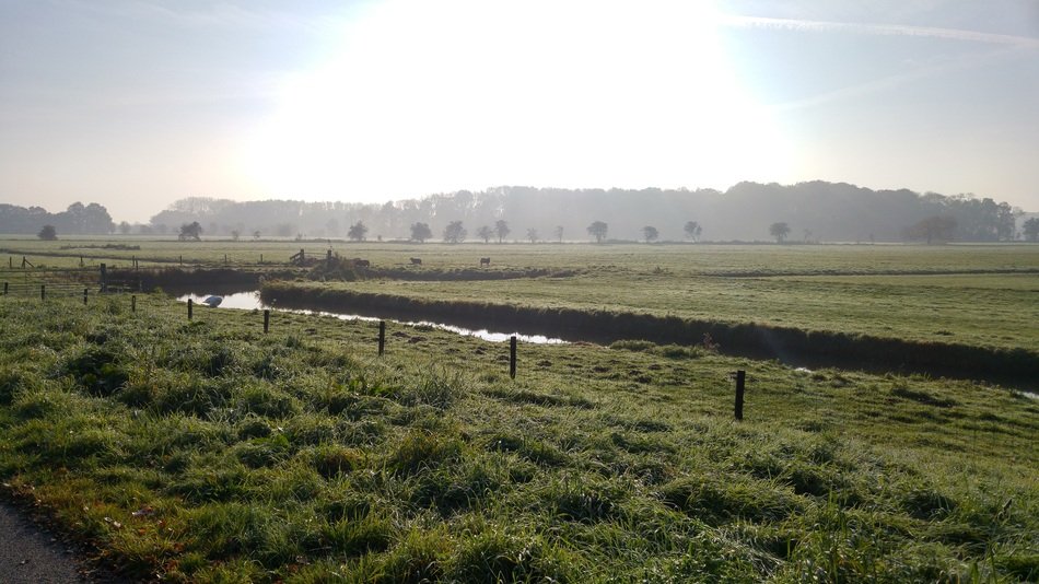 arable field in the Netherlands