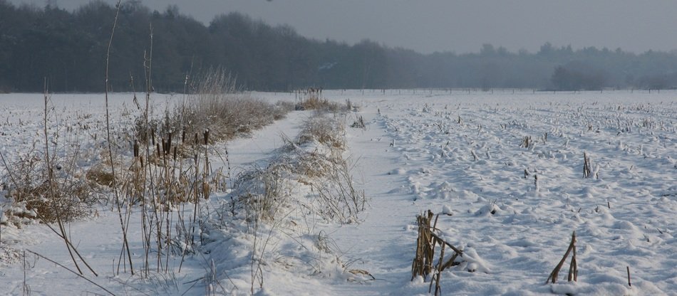 snow on farmland