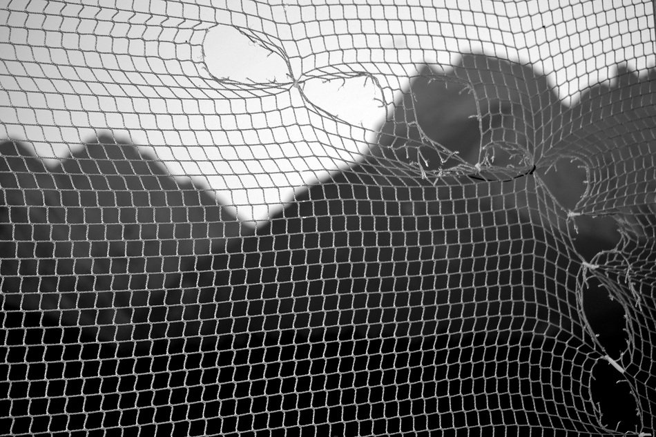 view through the net to the mountains