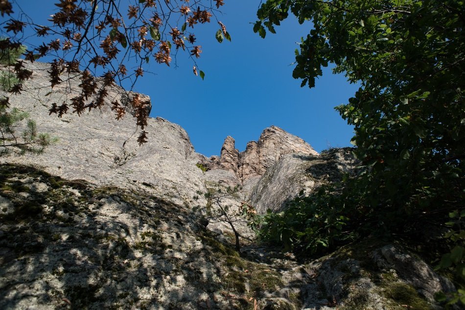 view of the rock from behind the trees