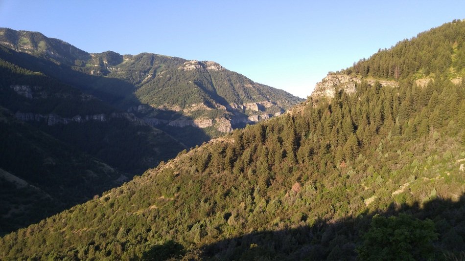 Mountains Trees Landscape Scenic