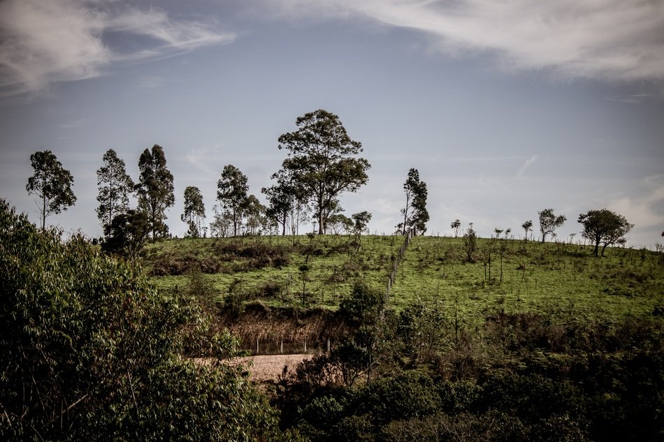 Nature Landscape Horizon