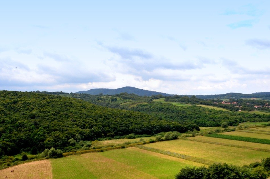 Beautiful and colorful agricultural fields with forests in Transylvania