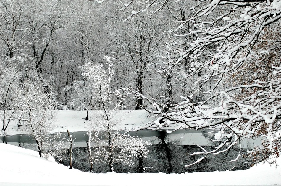 Snow Lake Nature
