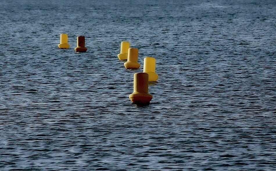 buoys of different colors in the Mediterranean