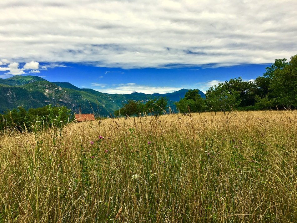 Lecco Meadows with the plants