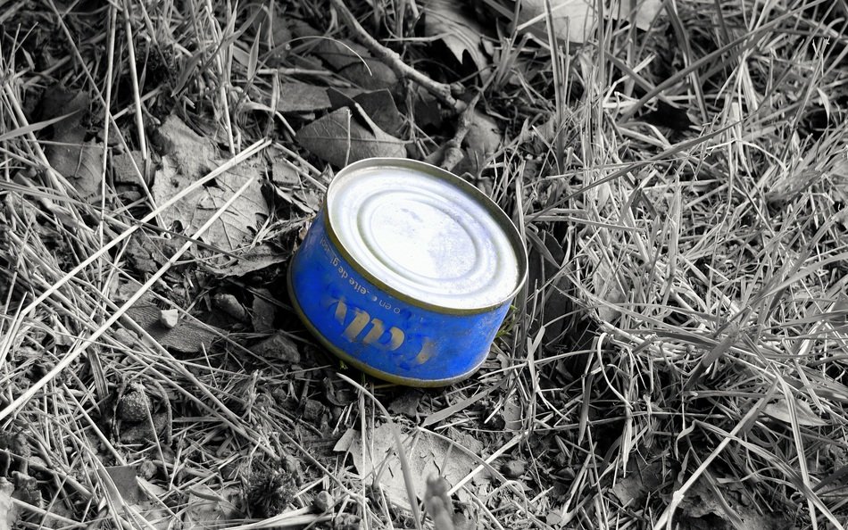 tin left on the ground