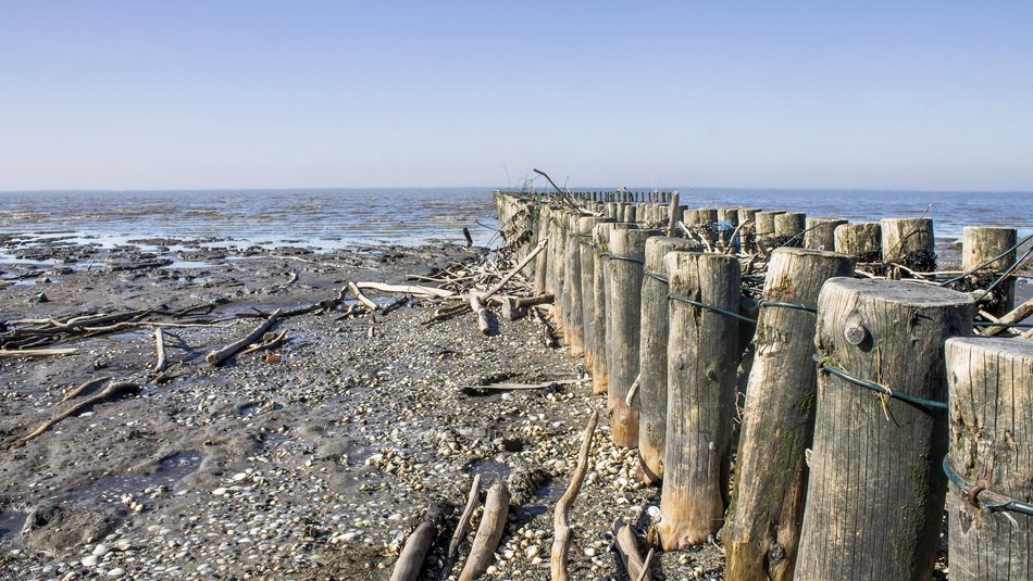 Wood Coast