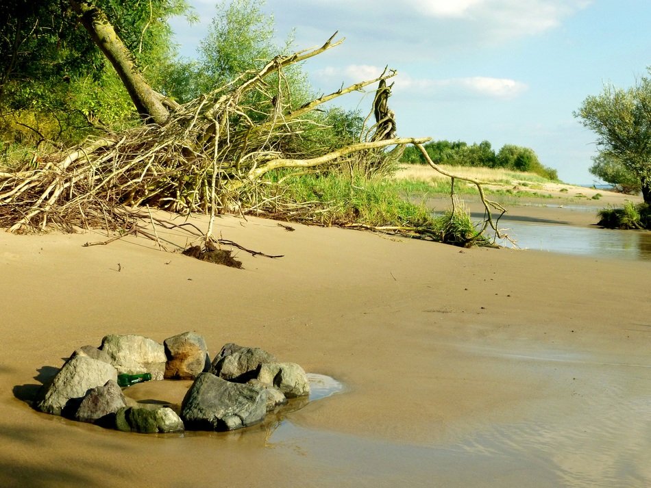 Elbstrand Same Tree