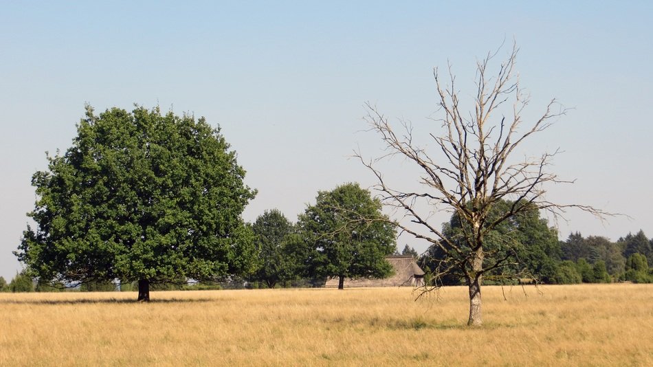 lÃ¼neburg heath cycling