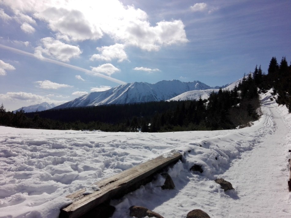 snowy trail in Mountains at Winter, Tatry