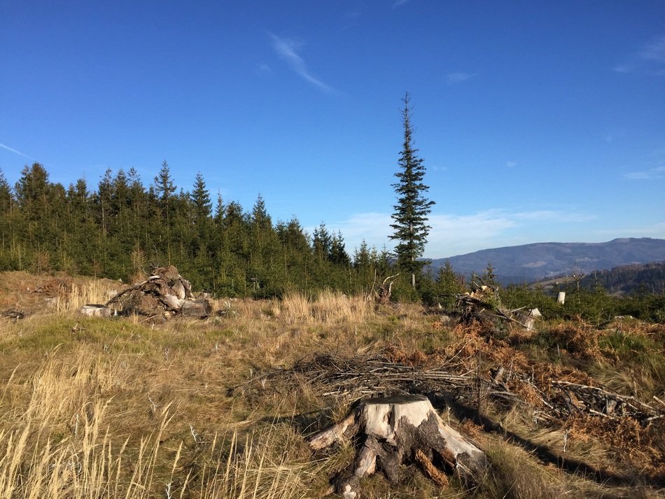 Beautiful mountains and forest in Wisla