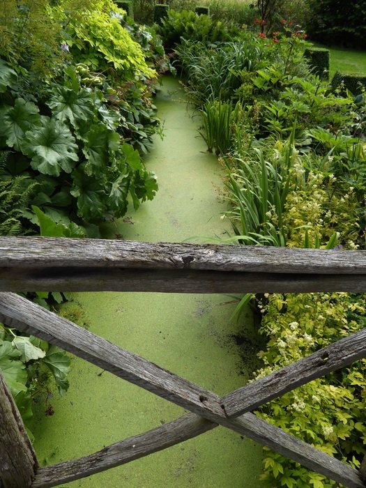 star bridge