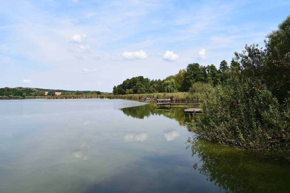 Landscape with the lake in Hungary