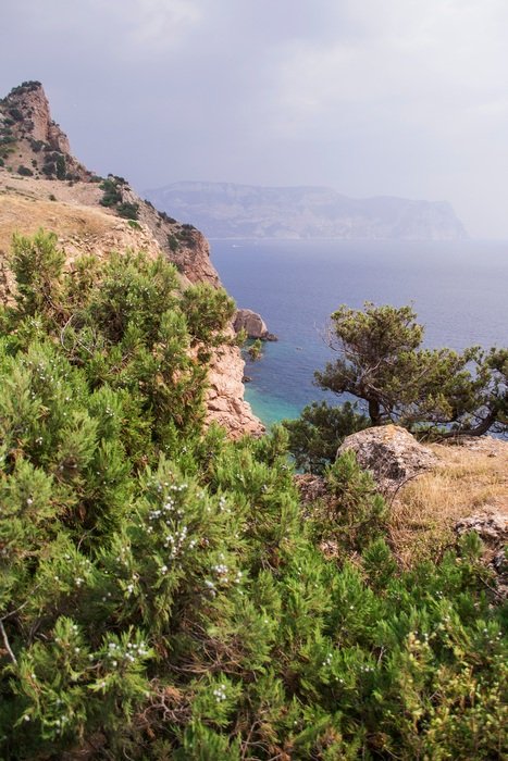 Landscape with the mountains in nature