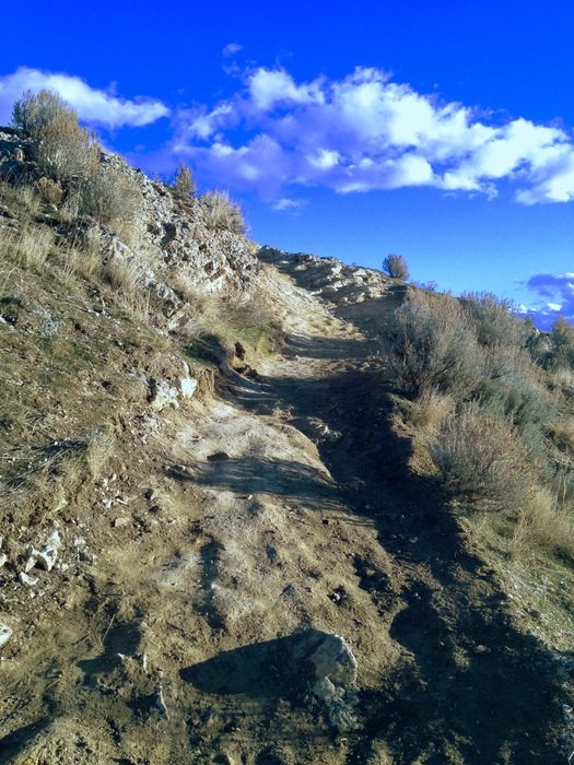 Ensign Peak Pioneers Trail