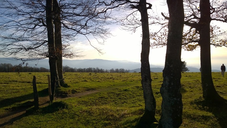 distant view of the bright mountains in hochschwarzwald