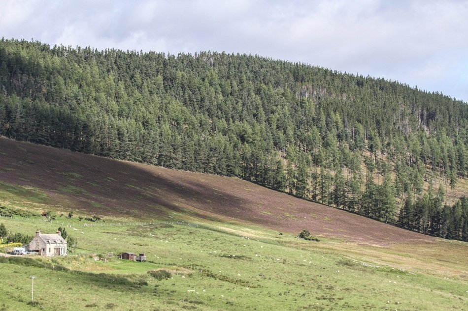highlands of scotland in a play of light and shadow